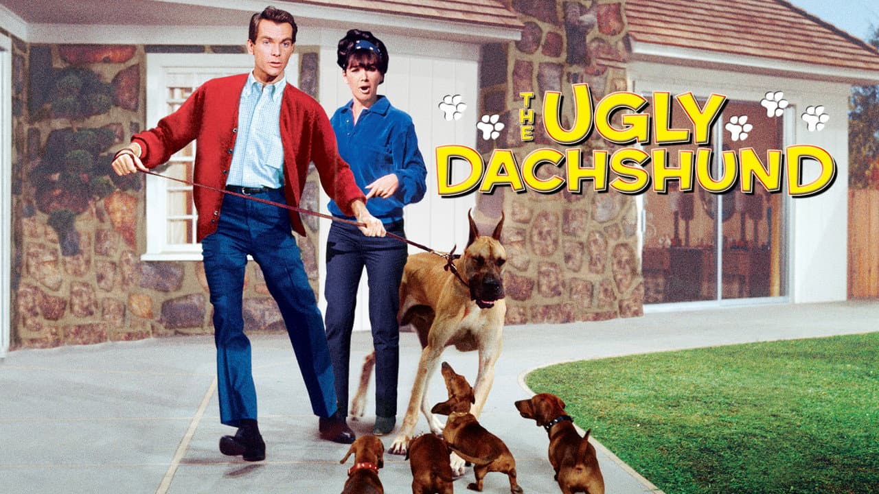 The Ugly Dachshund still 5