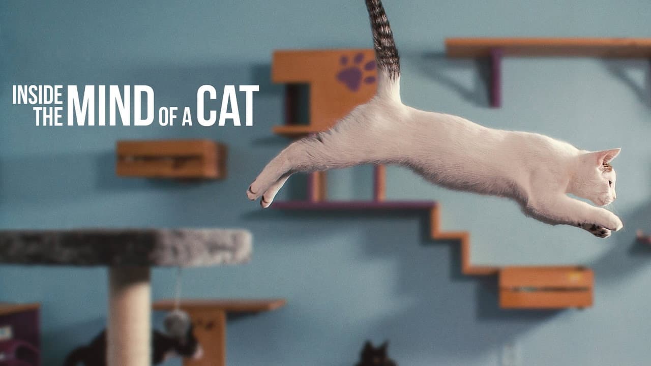 Inside the Mind of a Cat still 8