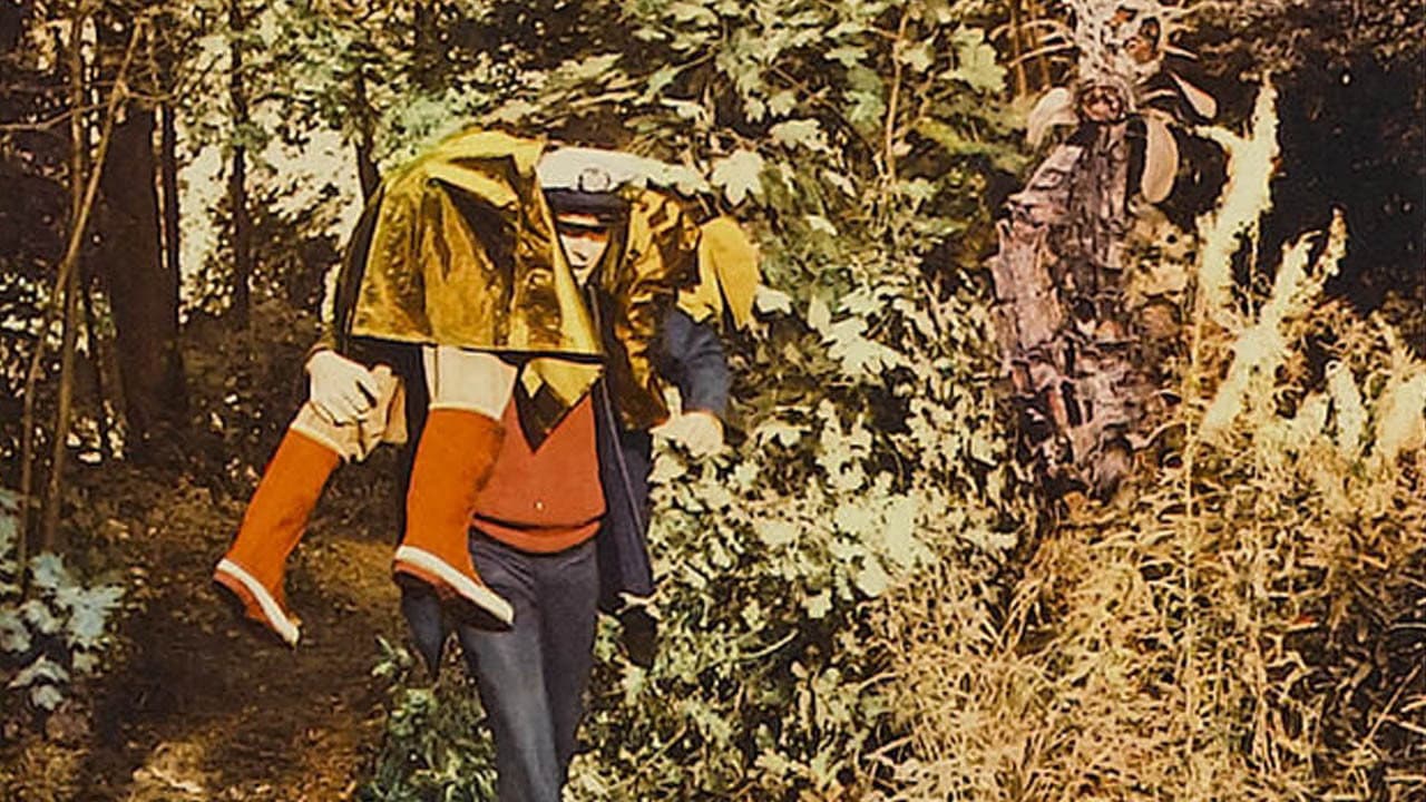 The Day of the Triffids still 6