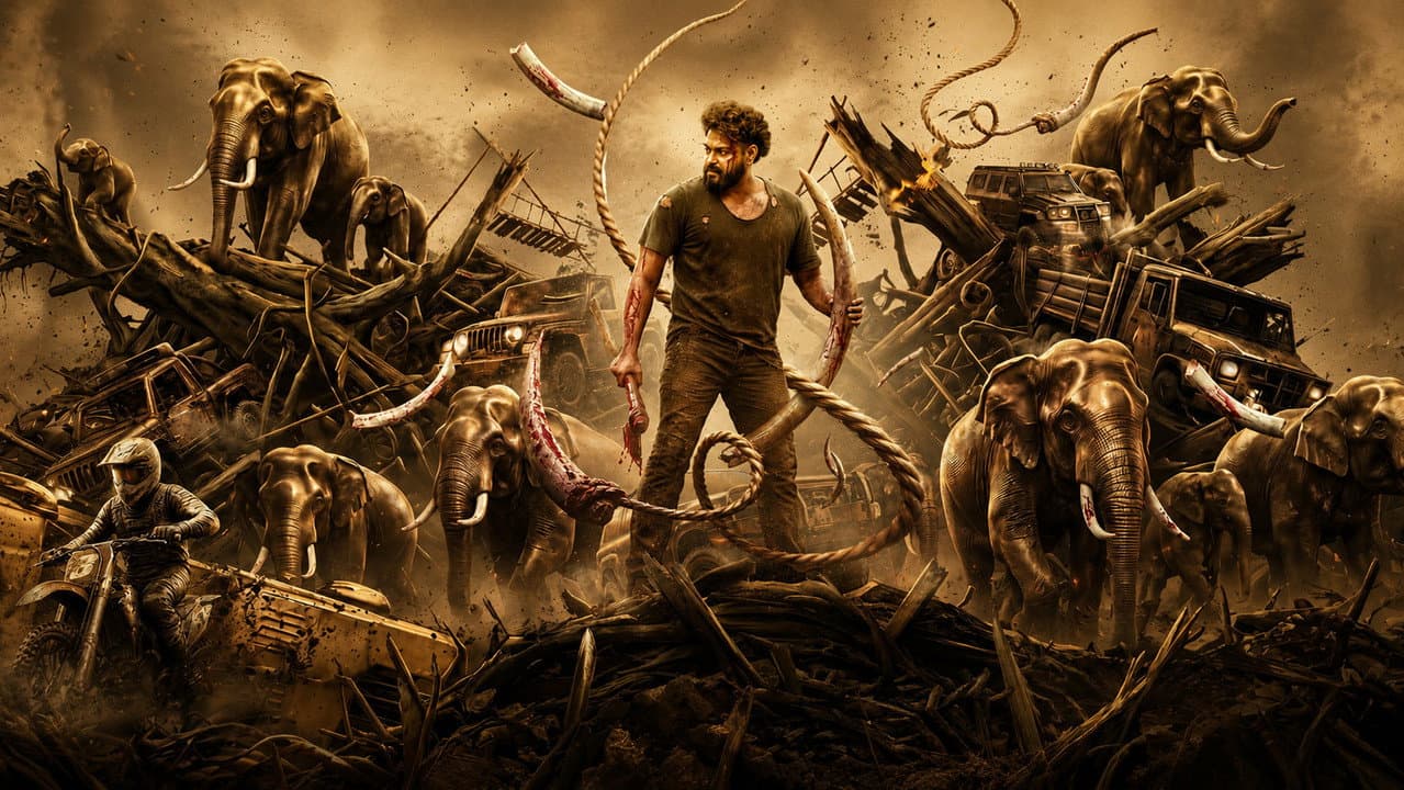 Kattalan still 3