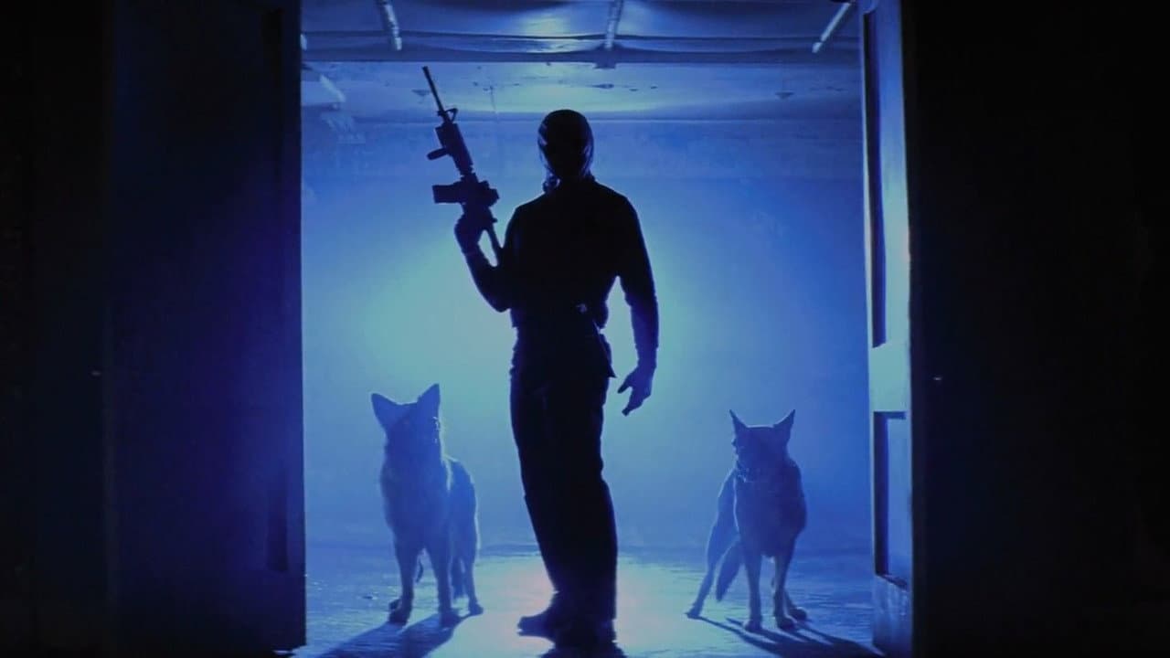 The Collection still 5