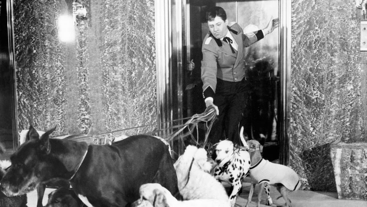 The Bellboy still 4