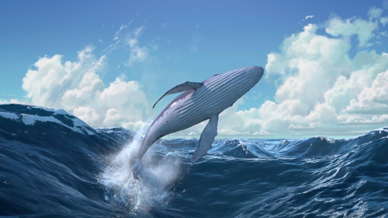 The Snail and the Whale still 1