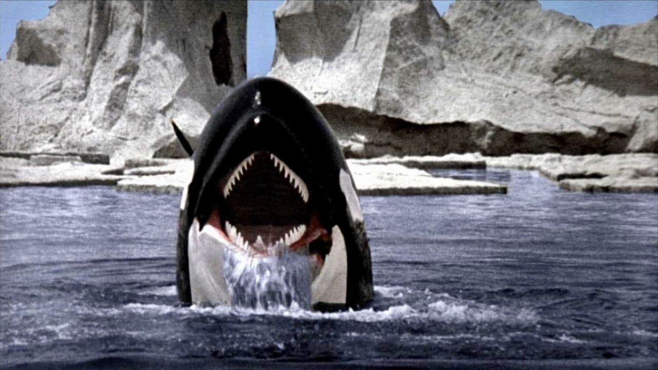 Orca still 6
