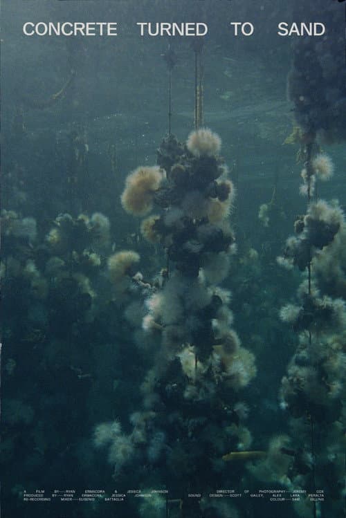 Concrete Turned to Sand: Oyster Farm Doc First Clip still 2