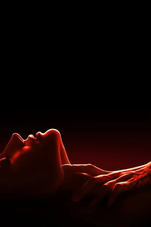 Vampire Carnival Review: Powell's 2026 Horror-Romance still 6
