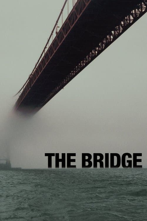 The Bridge still 5