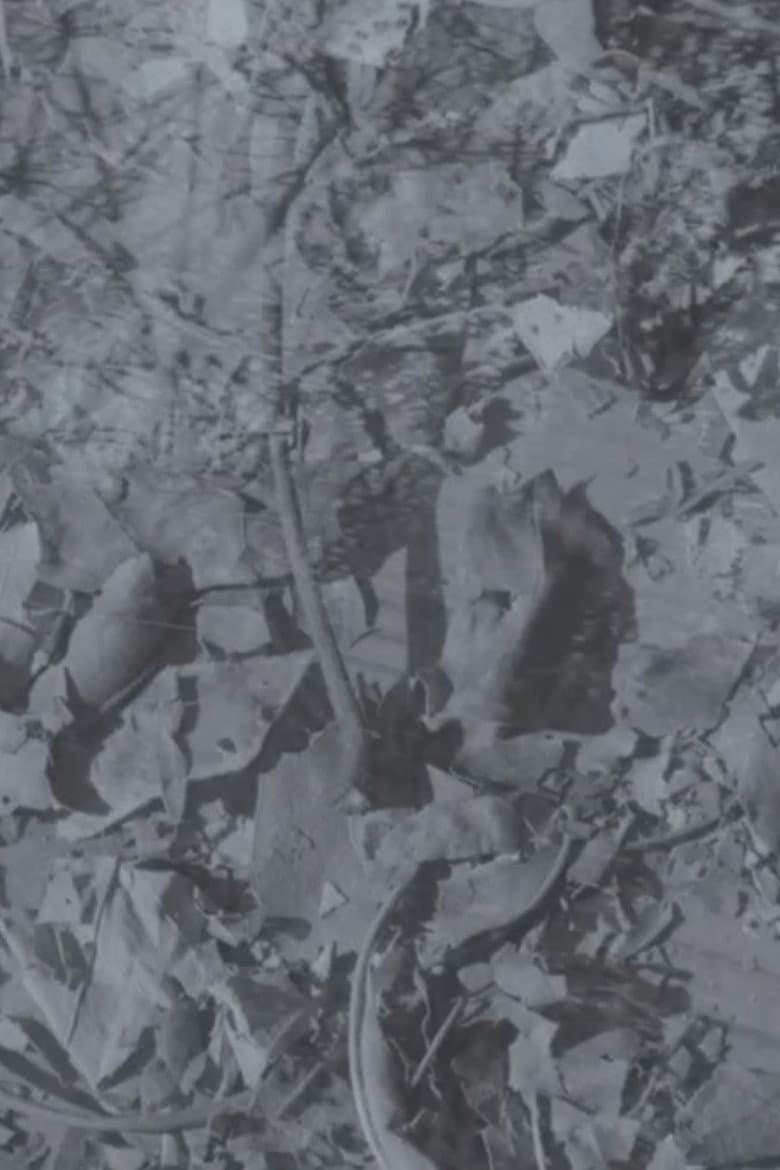 Autumns Decay: The Mystery Film With No Trailer or Cast